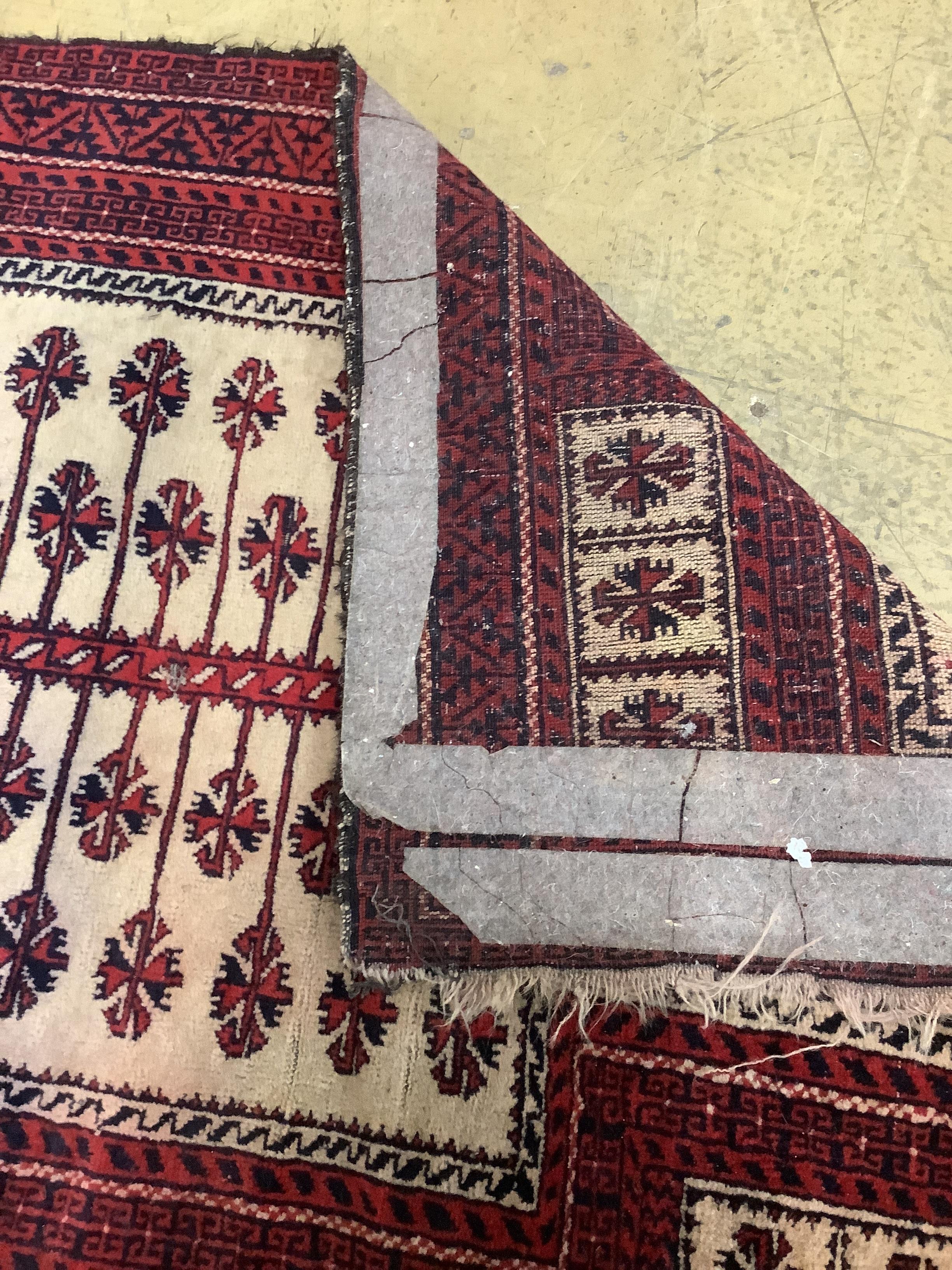 A North West Persian red ground carpet and a Belouch prayer rug, larger 300 x 216cm